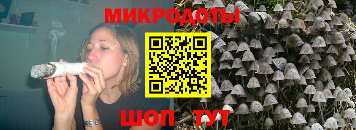 Галлюциногенные грибы прущие грибы  Вход с VPN  Муром 